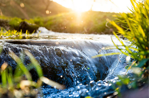 Spring background Stream of water in the forest
