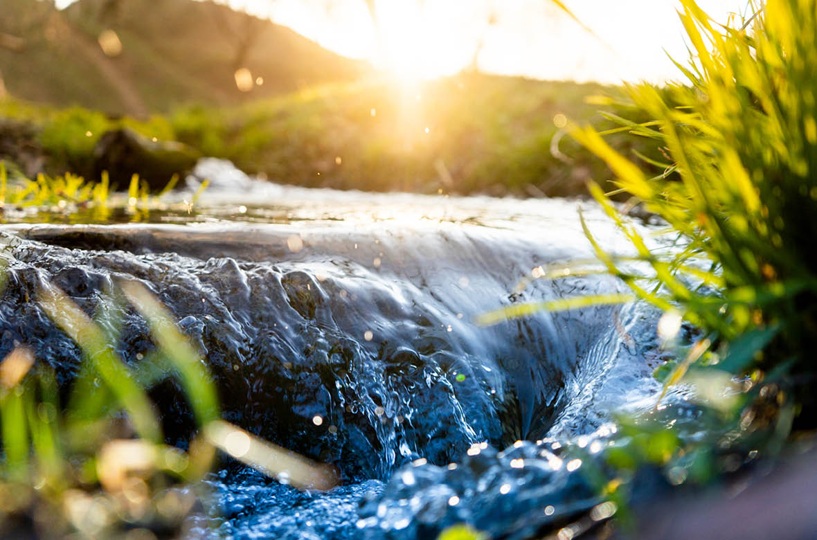 Spring background Stream of water in the forest
