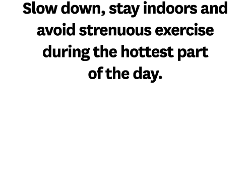 Slow down, stay indoors and avoid strenuous exercise during the hottest part of the day.