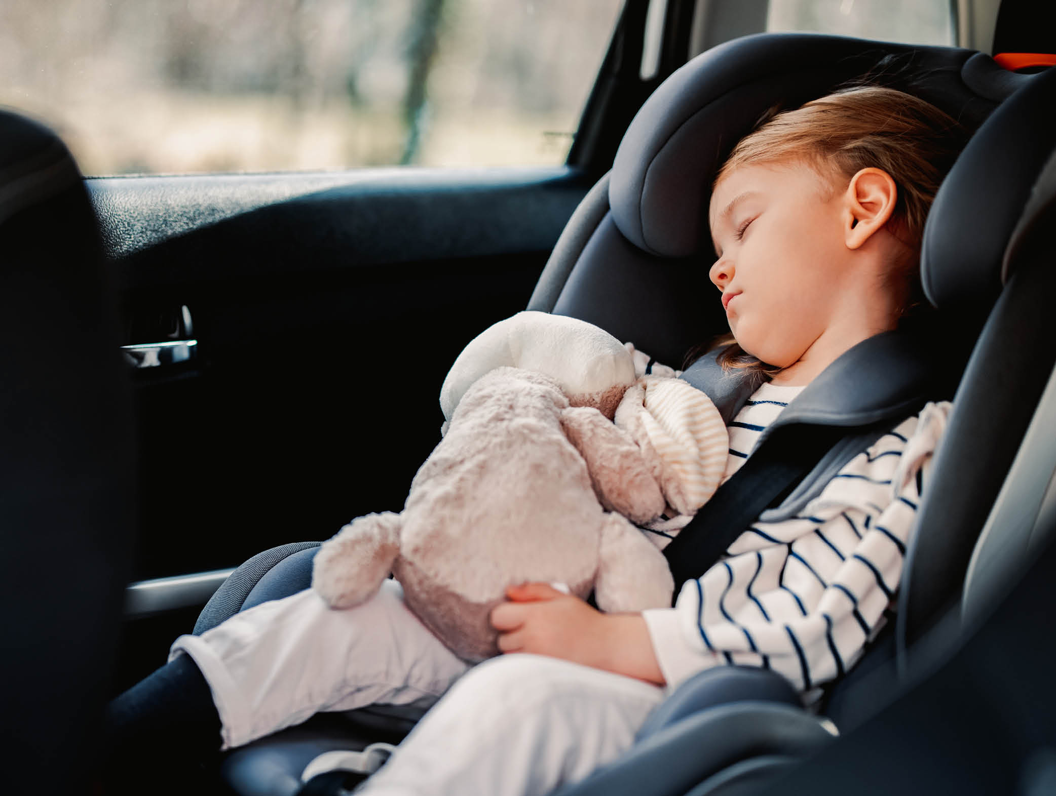 Cute girl napping with her toy in child safety seat in the car.