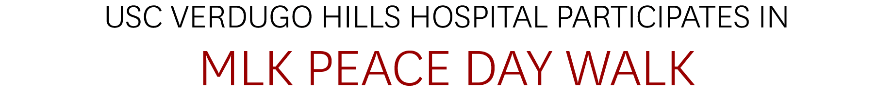 USC Verdugo Hills Hospital Participates in MLK Peace Day Walk 