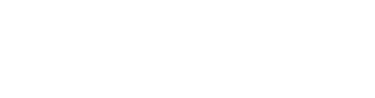 Lunar New Year Event