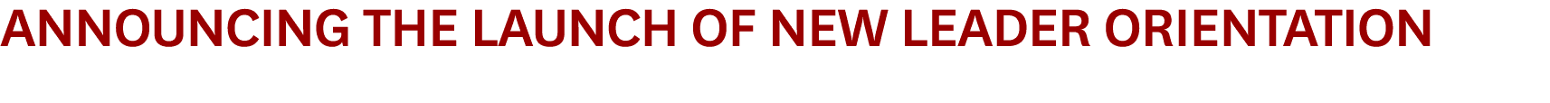 Announcing the Launch of New Leader Orientation