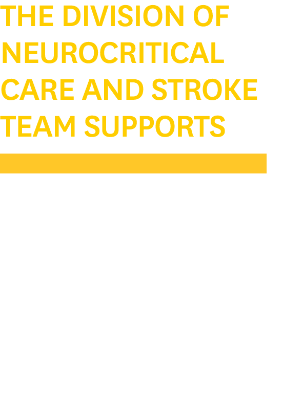 The Division of Neurocritical Care and Stroke Team Supports￼ Keck Medicine Health Pavilion at the 2024 LA Times Festi...