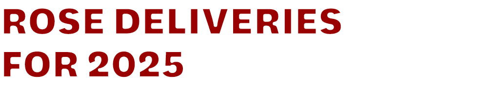 ROSE DELIVERIES FOR 2025