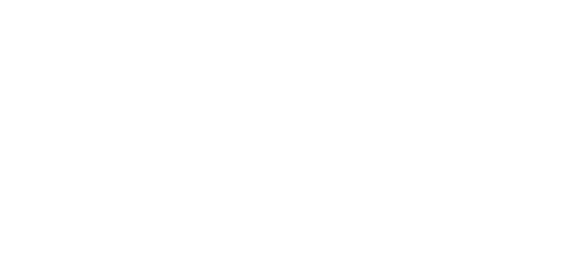 Jynette Querubin, MSN, RN Executive Director of Transformation and Strategic Projects USC Arcadia Hospital