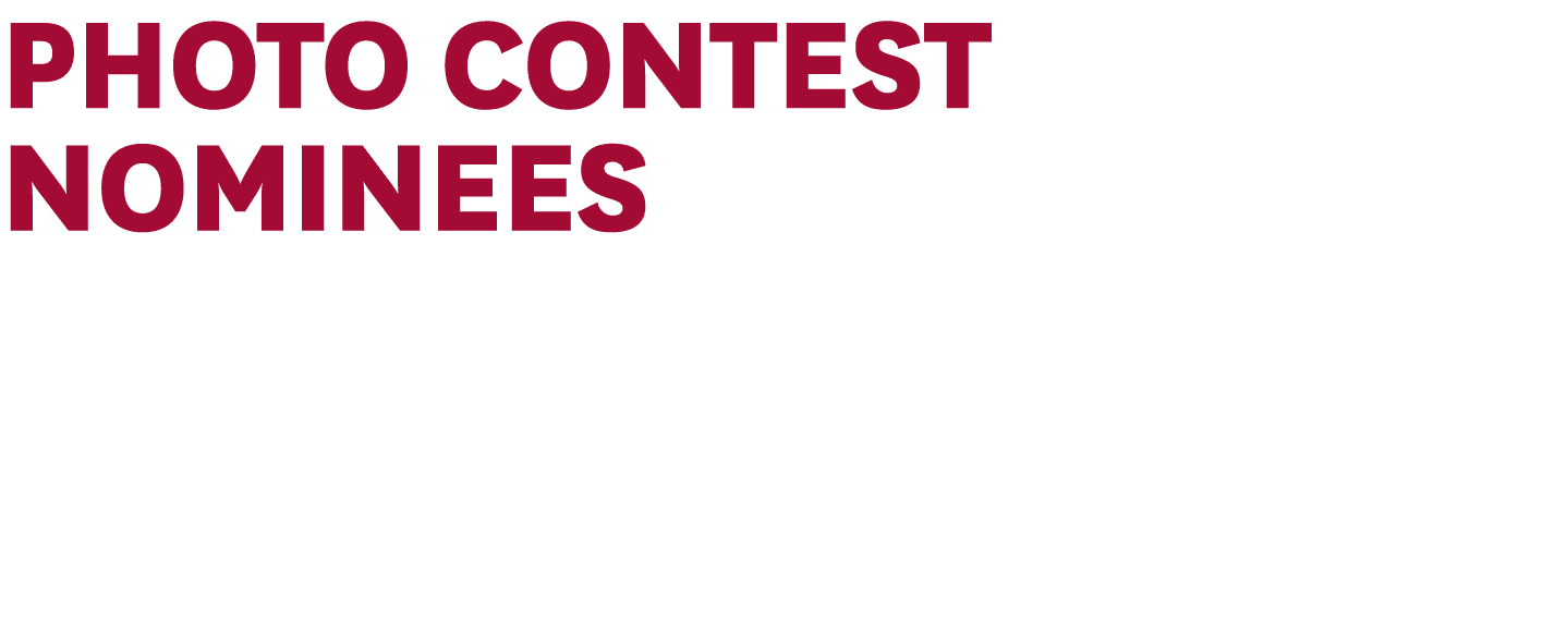 Photo Contest nominees