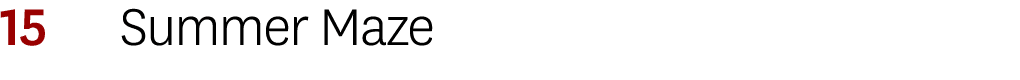 15 Summer Maze