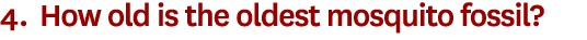 4. How old is the oldest mosquito fossil?