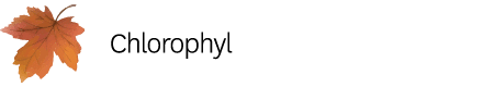  Chlorophyl 